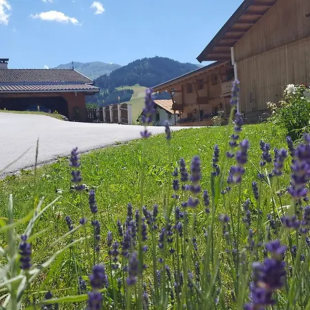Hotel Biobauernhof Hinteraltensberg Wildschoenau 3*